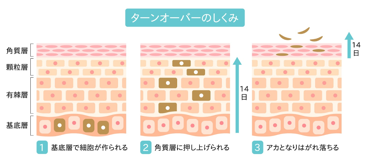 エステサロン 広島